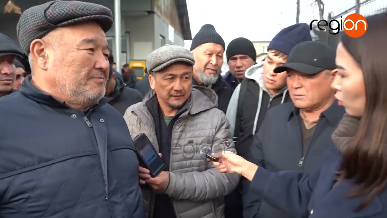 МӨӨНӨТСҮЗ АЙДООЧУЛУК КҮБӨЛҮК: АЙДООЧУЛАРДЫН НААРАЗЫЧЫЛЫГЫ