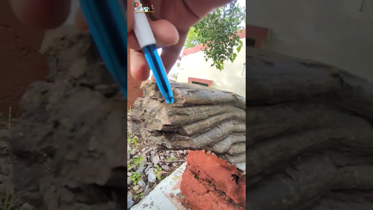 Mullions | Structural Geology | Field Geology