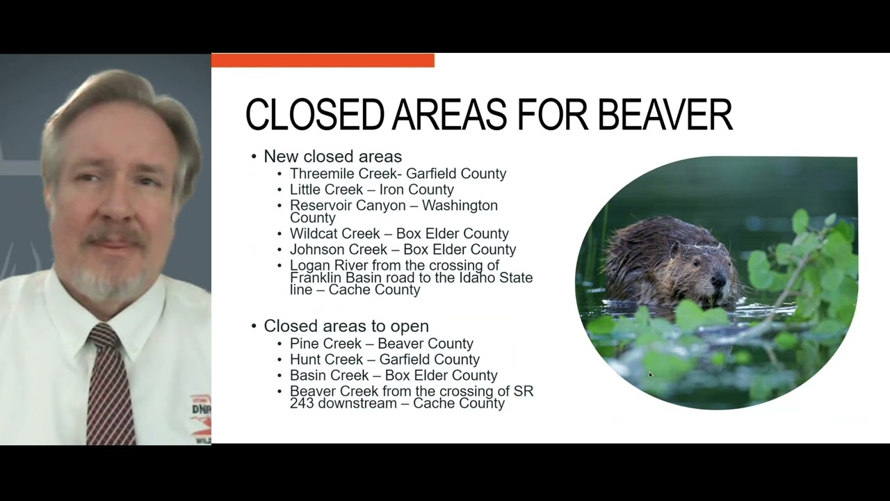 Furbearer recommendations for 2025-26
