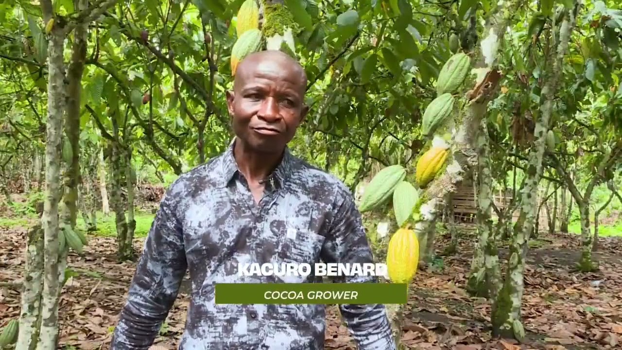 Kacuro Benard Cocoa Grower And a PDM Beneficiary in Bundibugyo