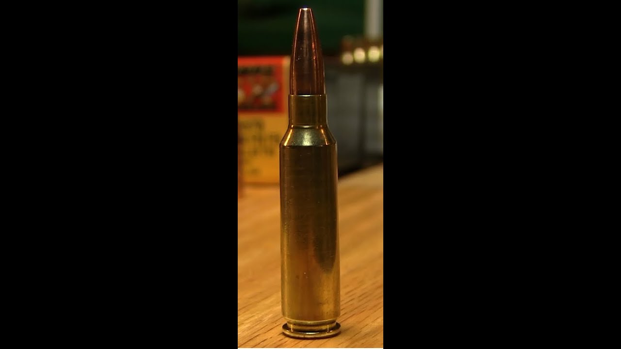 Barnes Bullets 62 grain Varmint Grenade Sight In by Nito Mortera