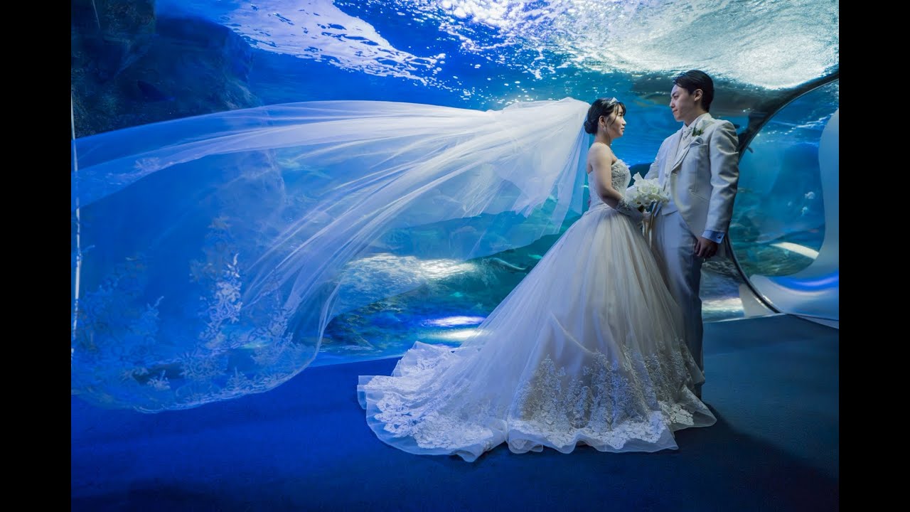 【新江ノ島水族館】水族館ウェディングって最高＊海に誓う永遠の愛