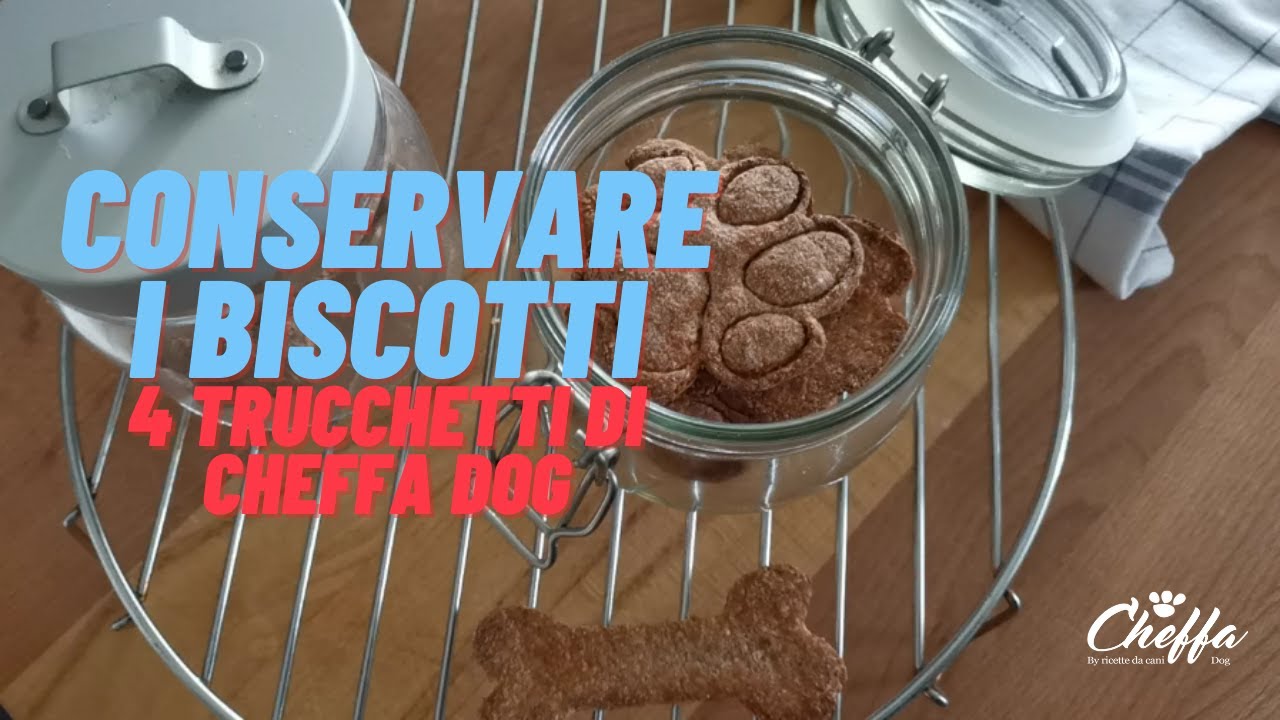 CONSERVARE I BISCOTTI - 4 TRUCCHETTI DI CHEFFA DOG