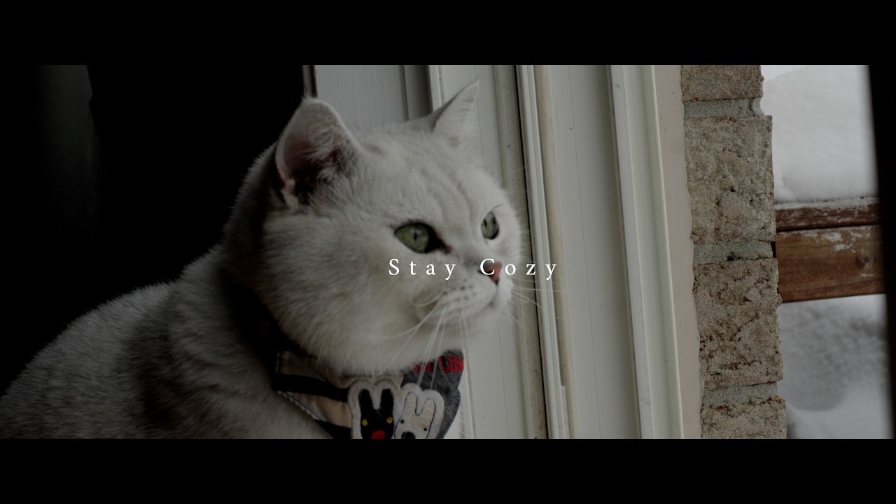 A Cold Winter Day at Home with My Cat. (FX30 Anamorphic 4K)