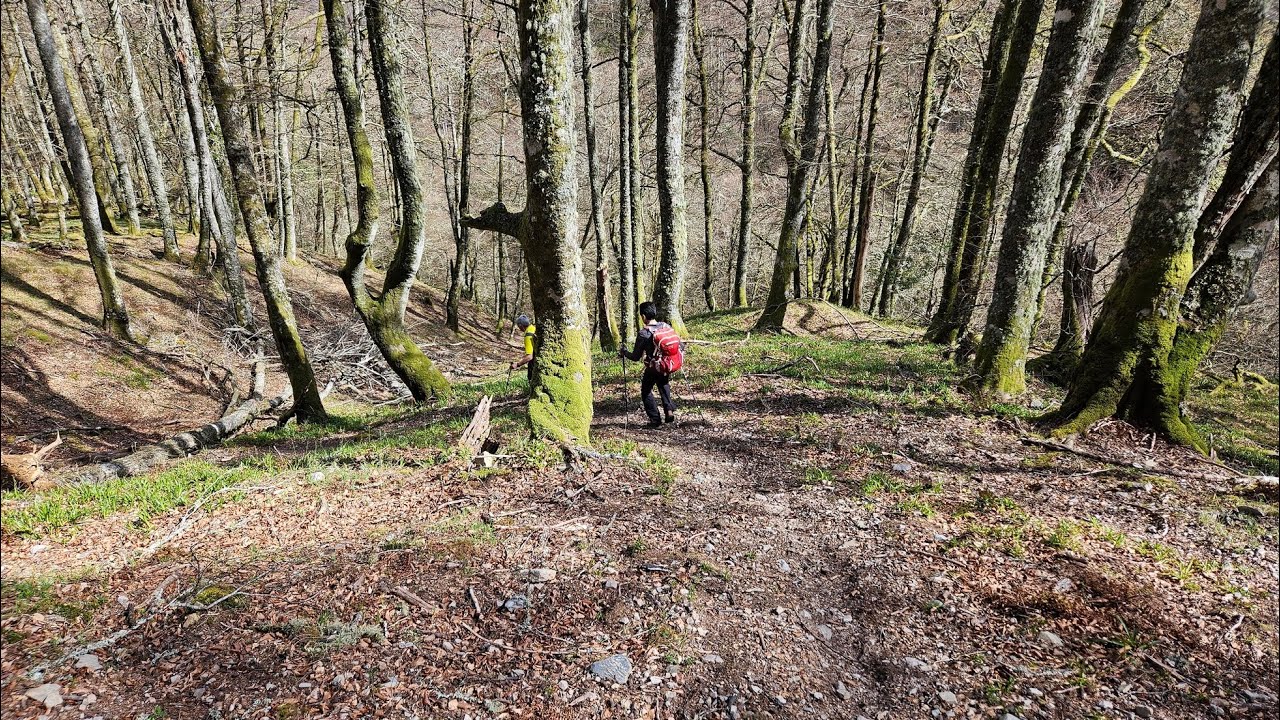HAYEDOS MÁGICOS DE HERMO (PARQUE NATURAL DE LAS FUENTES DEL NARCEA, DEGAÑA E IBIAS)-ASTURIAS
