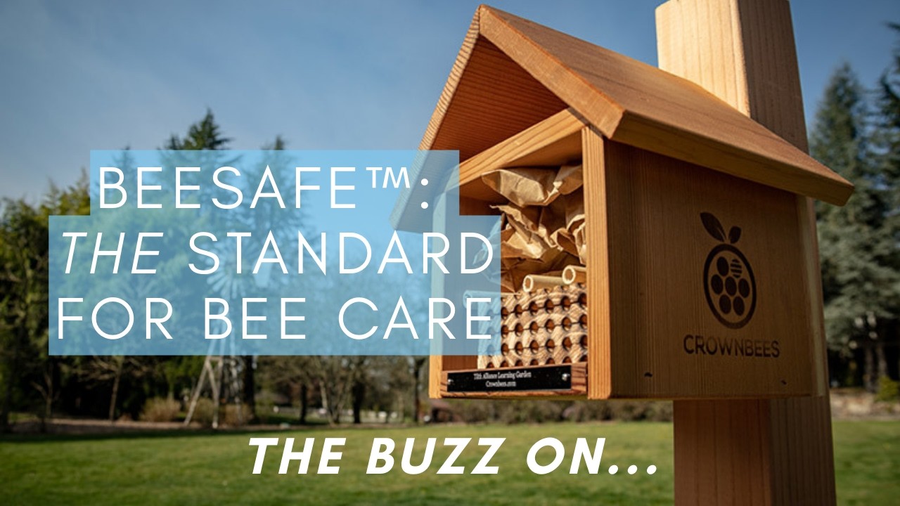BeeSafe™: THE Standard for Bee Care