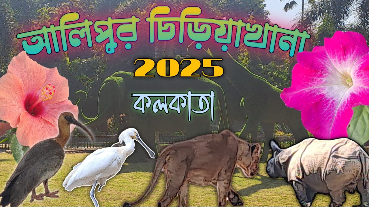 আলিপুর চিড়িয়াখানা 2025/ALIPORE ZOO/Alipore Zoological Garden Kolkata/আলিপুর জিওলজিক্যাল /19NOV2025