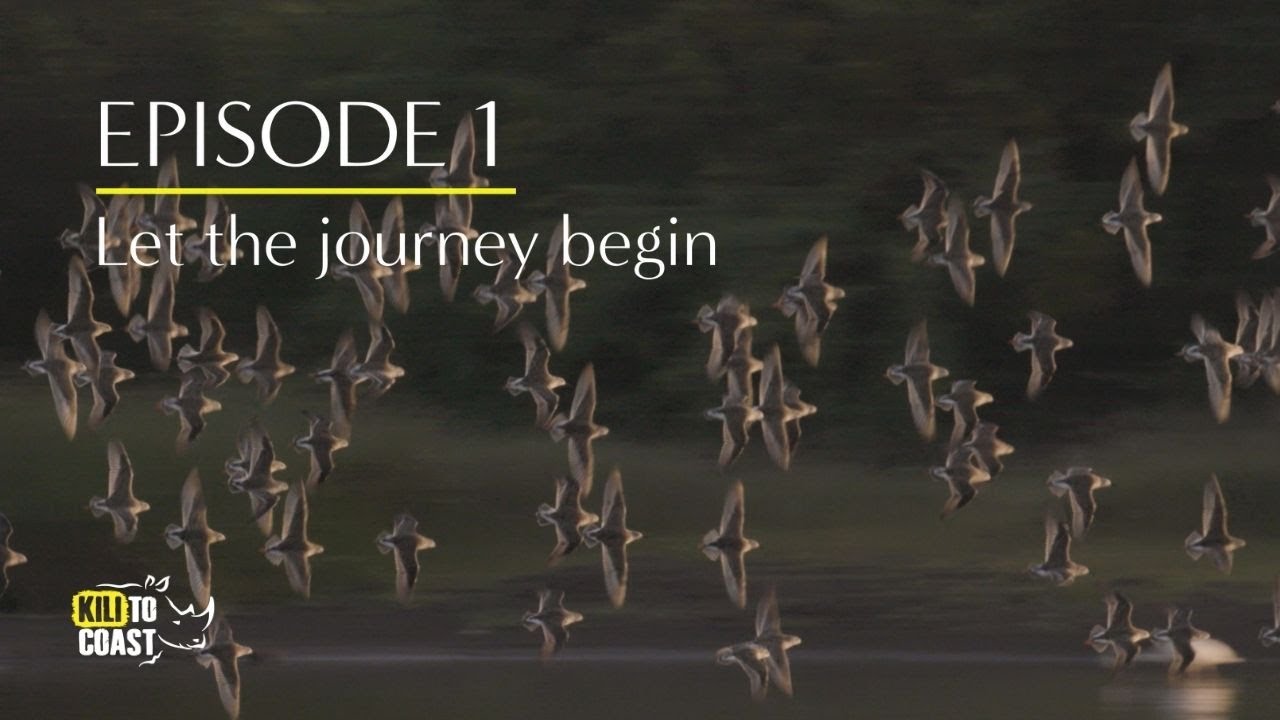Kili to Coast Episode 1 - Let the journey begin
