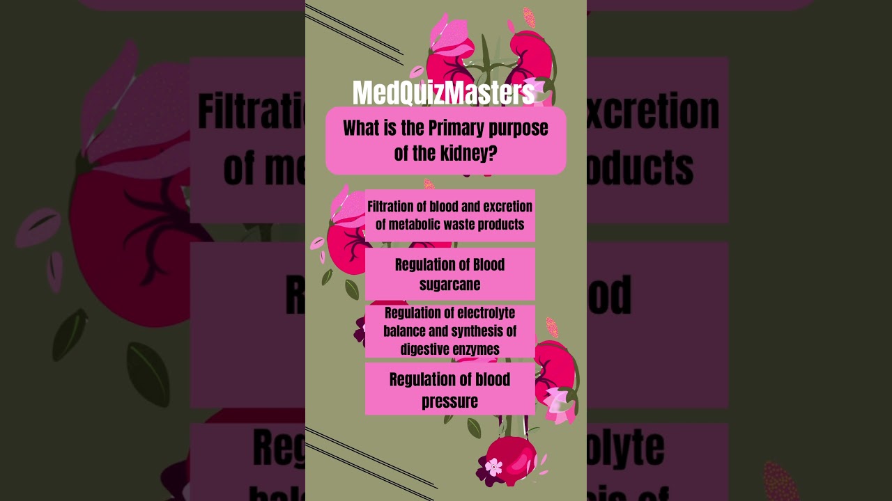Can you figure out the importance of the kidney? 