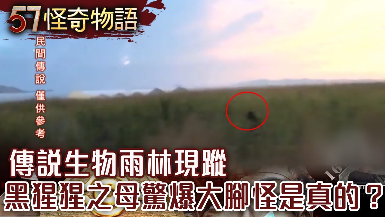 傳說生物雨林現蹤 黑猩猩之母驚爆大腳怪是真的？【57怪奇物語】