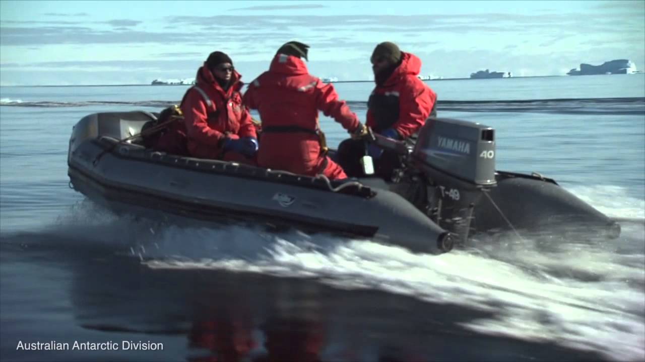 Living at Casey station, Antarctica