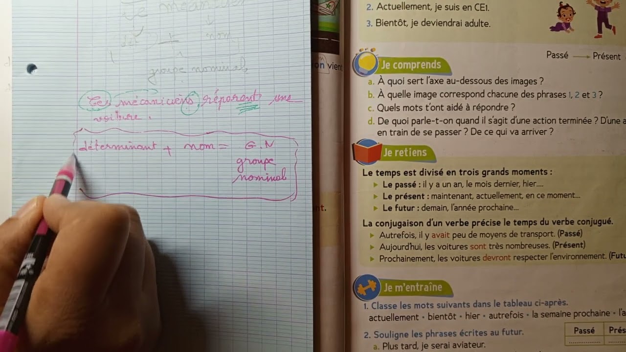 CE1: Grammaire : Le groupe nominal page 50 Le trésor des mots.
