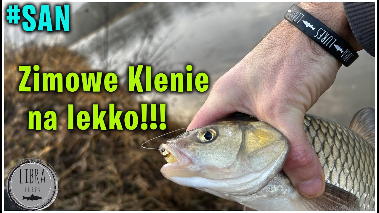 Zimowe Klenie | Jak łowię zimowe klenie w Sanie