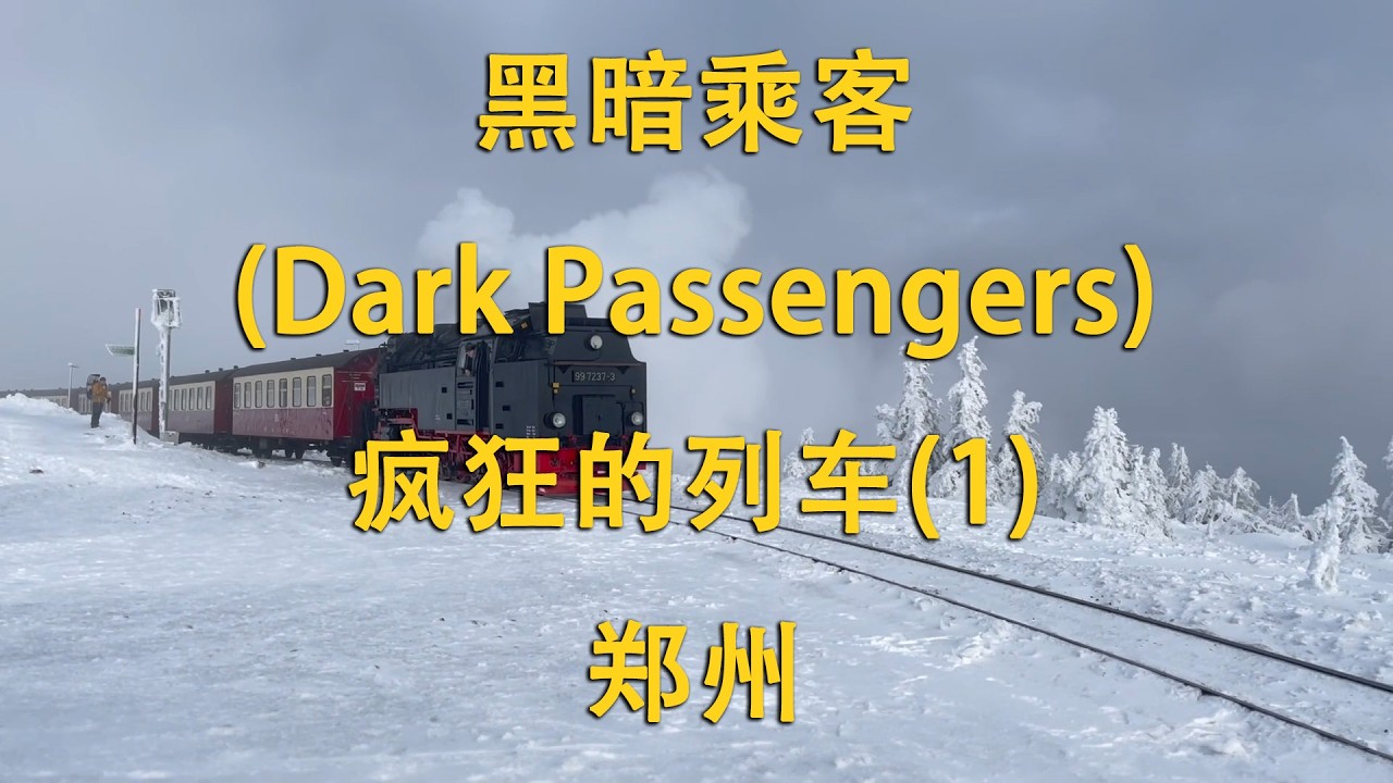 黑暗乘客（Dark Passengers）——疯狂的列车(1)-郑州（Gang stalking）
