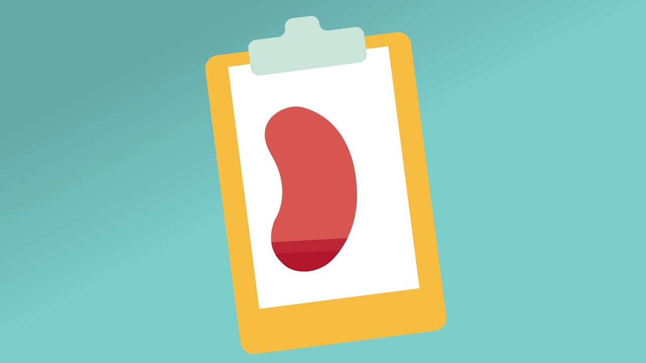 Kidney function levels & how to slow CKD progression