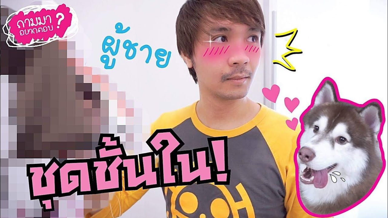 ผู้ชาย + ชุดชั้นใน + หมาหื่นกาม = ความวุ่นวาย // ถามมาอยากตอบ #8