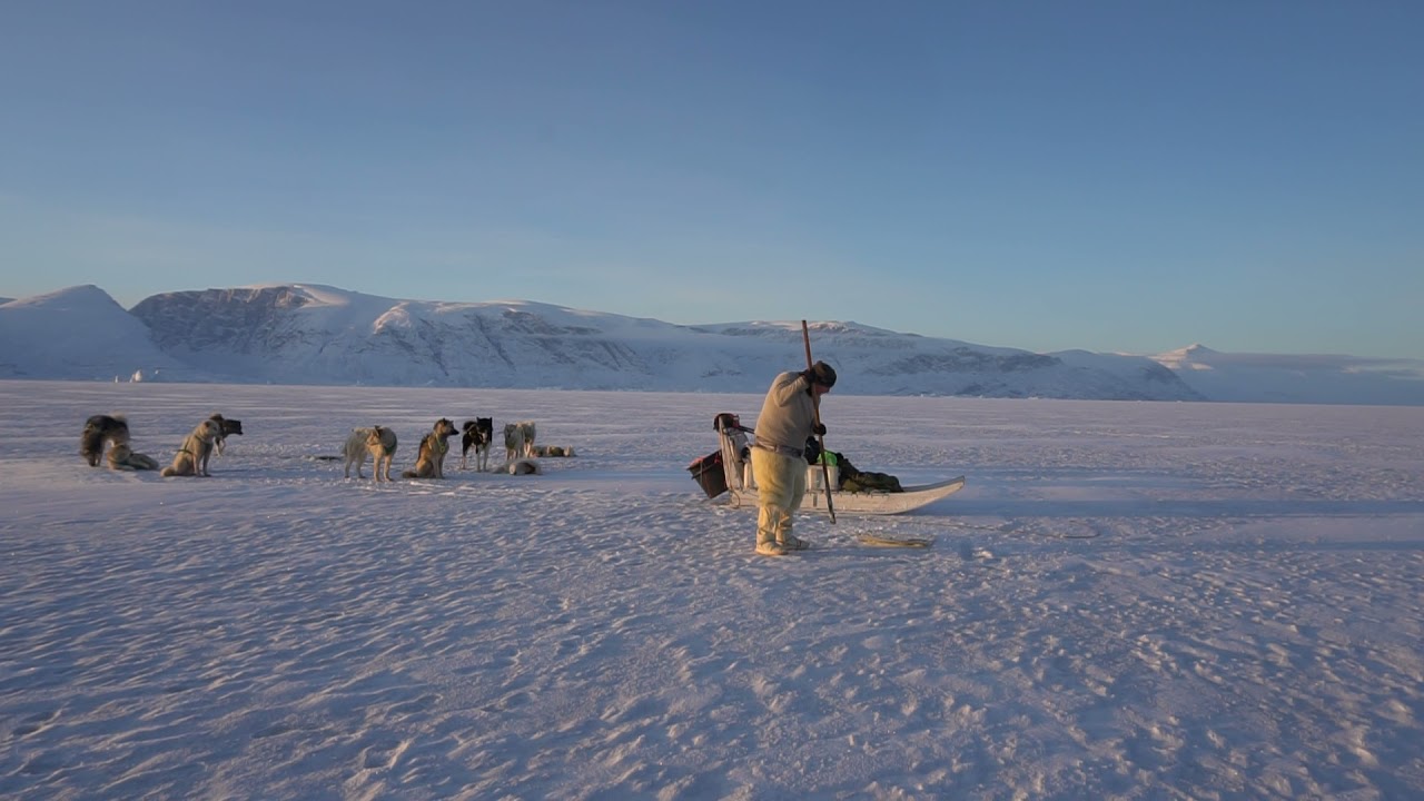 Dog sledding and icefishing in Uummannaq fare above the arctic circle