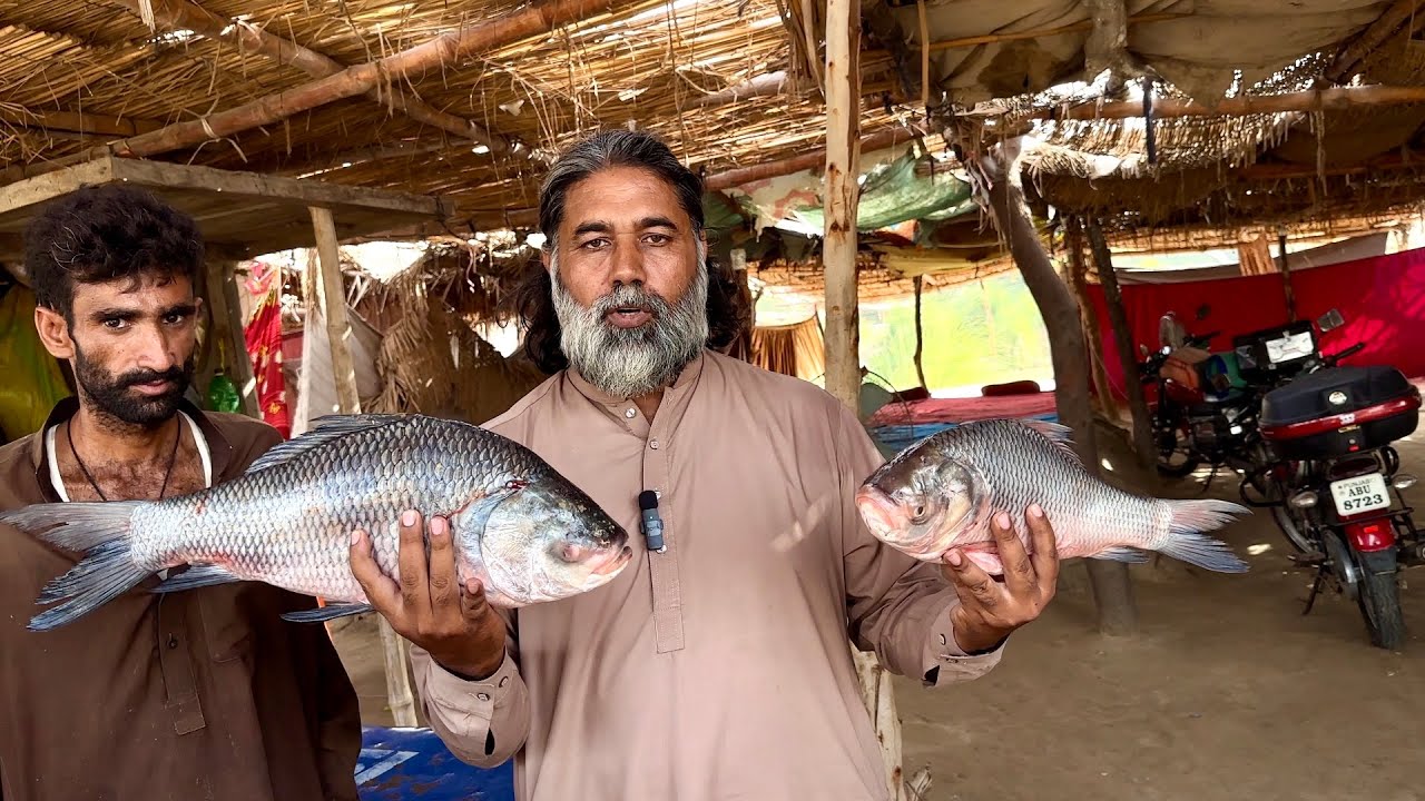 Tandoori Fish Recipe | How To Make Tandoori Fish At Head Panjnad | Dhaba Tandoori Fish | Mubarak Ali