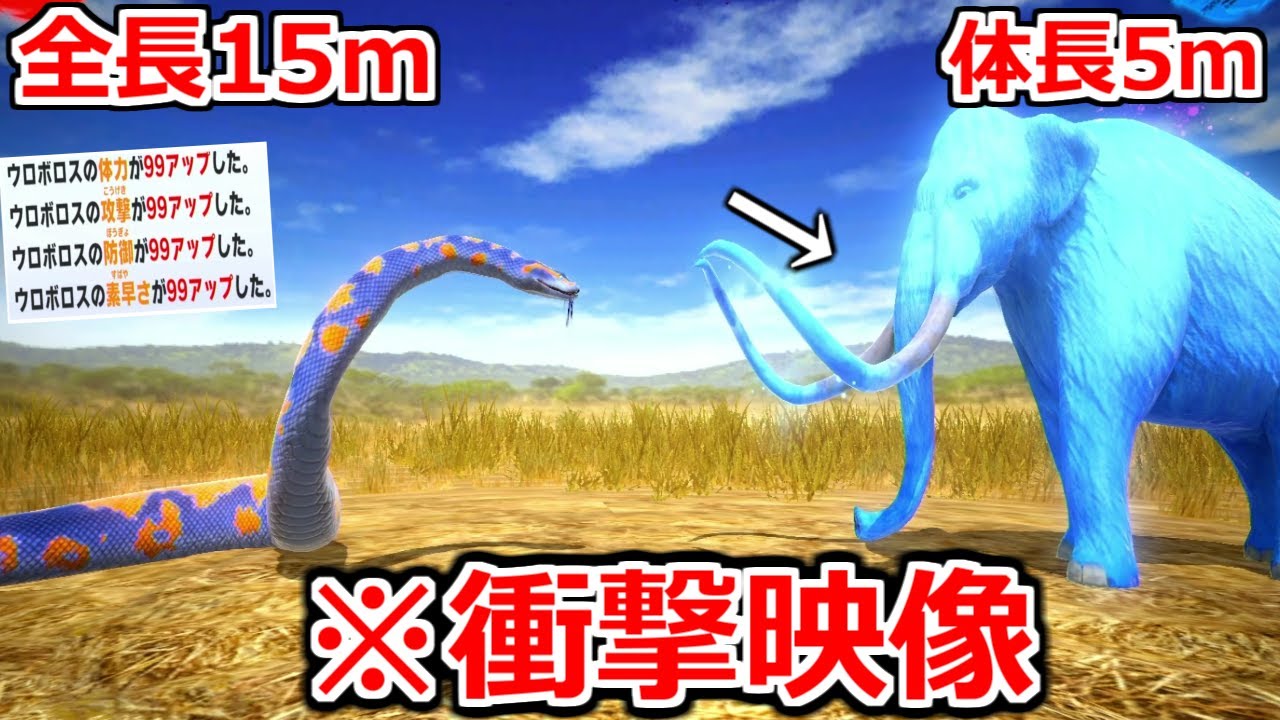 衝撃の瞬間。全長15mのヘビ「ティタノボア」がゾウを丸呑みに…最終研究大会【異種最強王図鑑 バトルコロシアム】 実況プレイ #7(終)