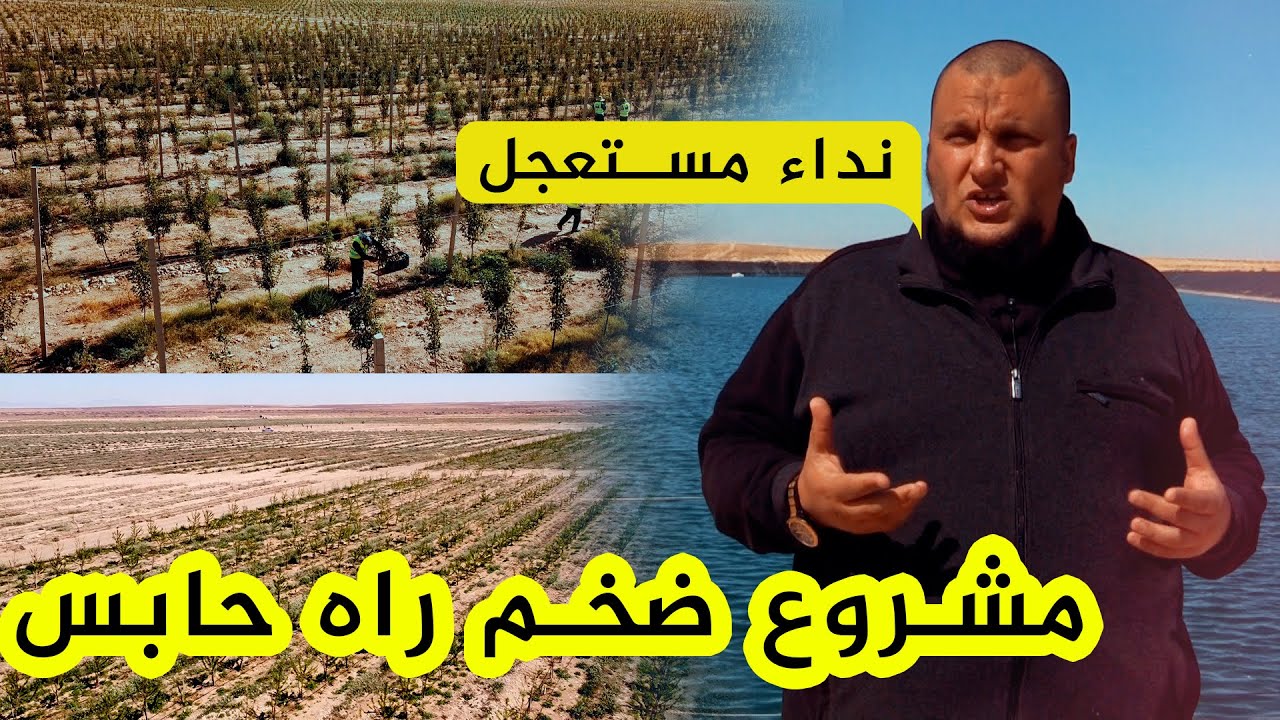 مستثمر جزائري يطلق أكبر مشروع فلاحي..ويحول أراضي قاحلة لجنة خضراء..ليصطدم ببيروقراطية الإدارةالمحلية