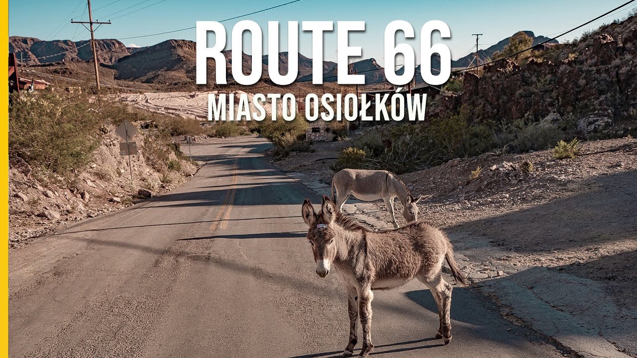 ROUTE 66: Miasteczko OATMAN