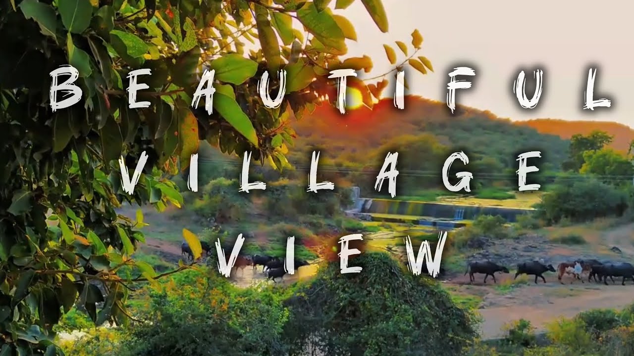 Beauty of village #villagelife #peaceful #tensionfreelife #nature #colourful 