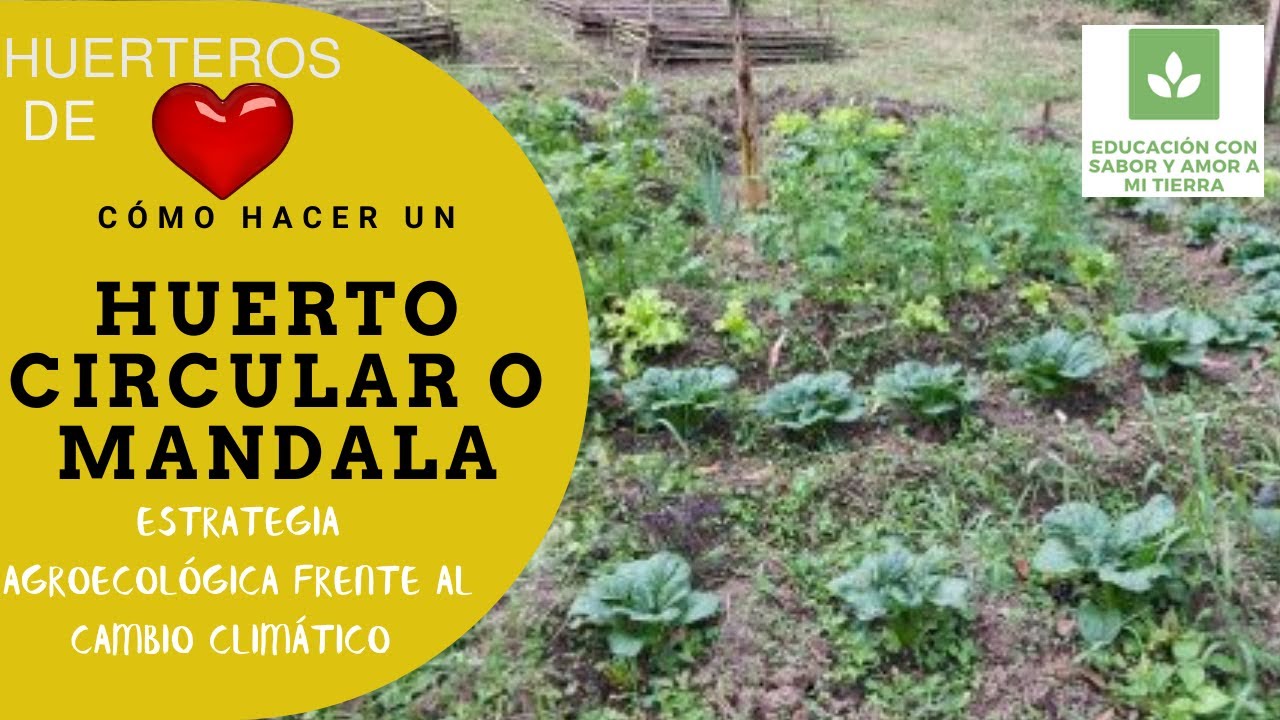 ¿CÓMO HACER UN HUERTO CIRCULAR O MANDALA? ESTRATEGIA AGROECOLÓGICA, FRENTE AL CAMBIO CLIMÁTICO