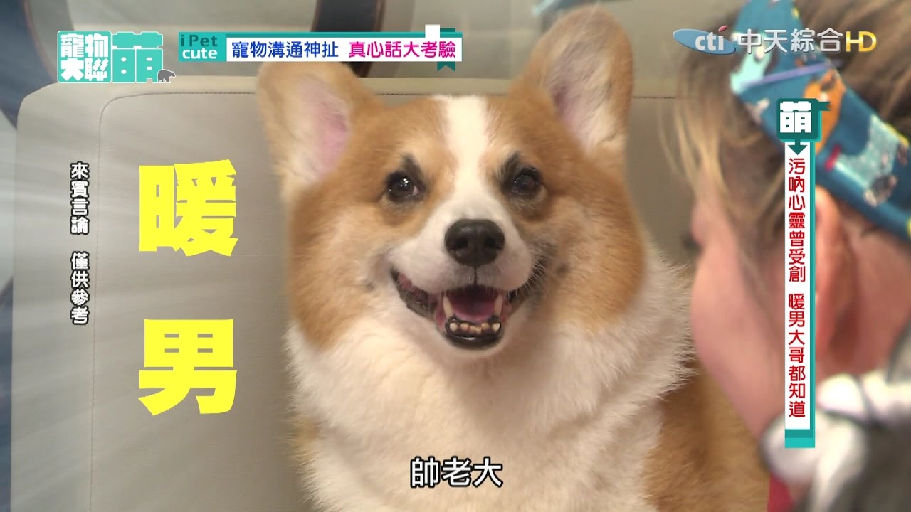 【寵物大聯萌#完整版】寵物溝通神扯　真心話大考驗2016.12.04