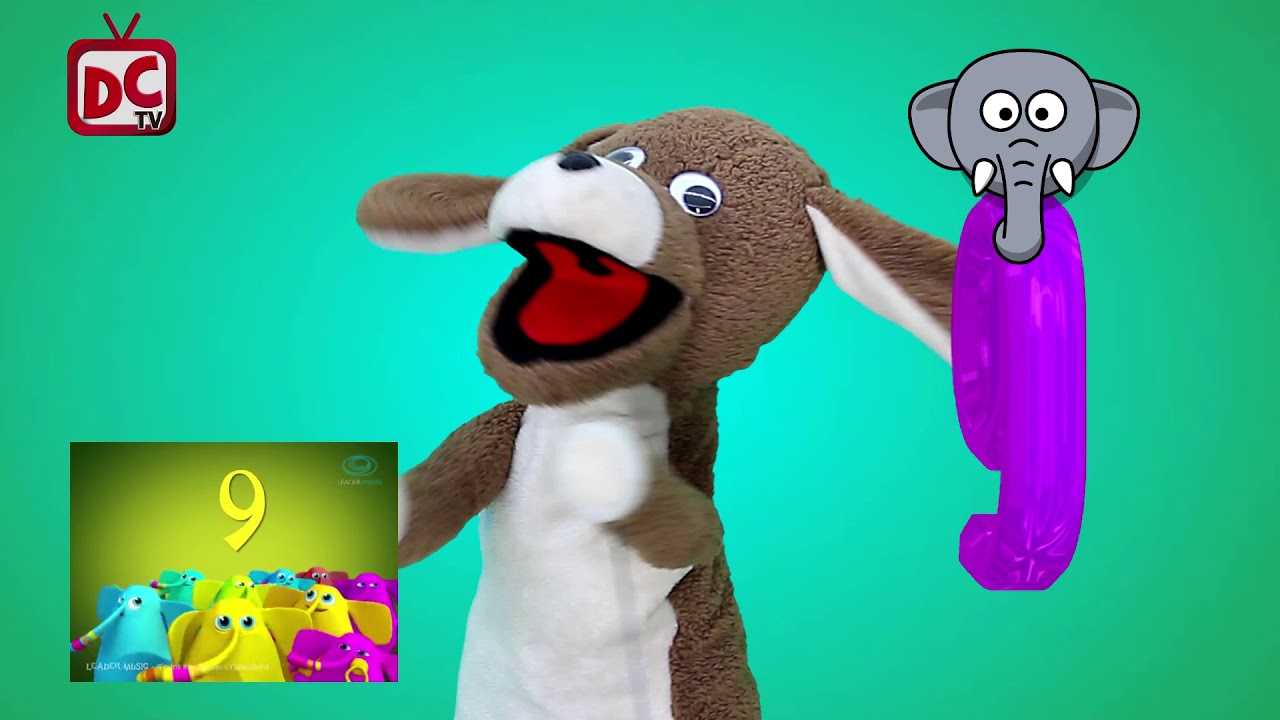 Canciones para niños un elefante se balanceaba  el AVENTUPERRO #cancionesinfantilesenespañol