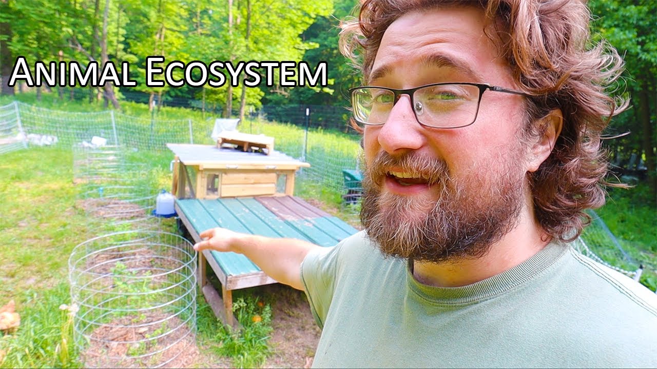 Building a Thriving Ecosystem: Harnessing Animal Power for Lush Pasture, Gardens, and Orchards