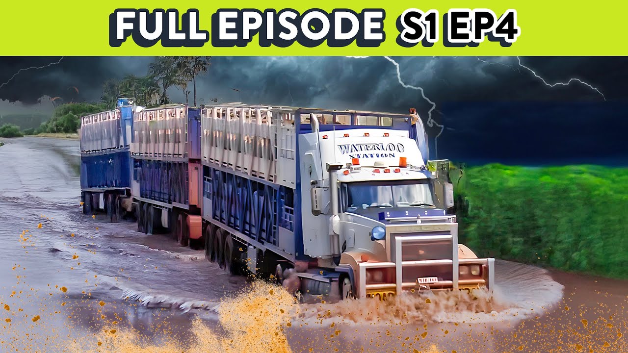 Livestock Trucker’s at Risk of Losing an Entire Years Income | Outback Truckers - S1 Ep 4 FULL EP