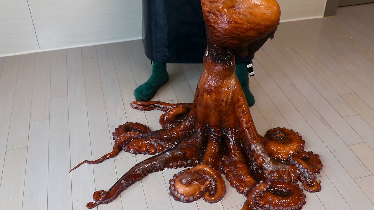 17kg급 100만원짜리 행성파괴범을 손질해보자 l There’s a Huge Creature in My Home… Help!! 😱🏠