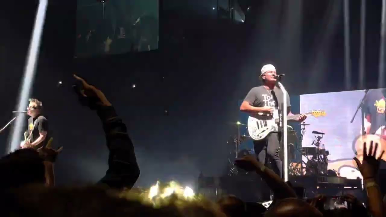 Blink-182 - All The Small Things (Live in St. Paul, MN)