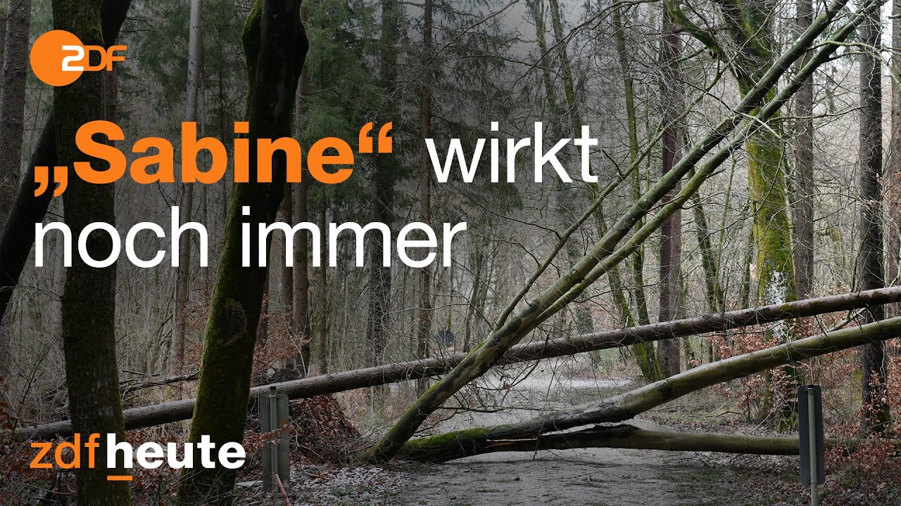 Orkan &bdquo;Sabine&ldquo;: Nachwirkungen weiterhin zu sp&uuml;ren