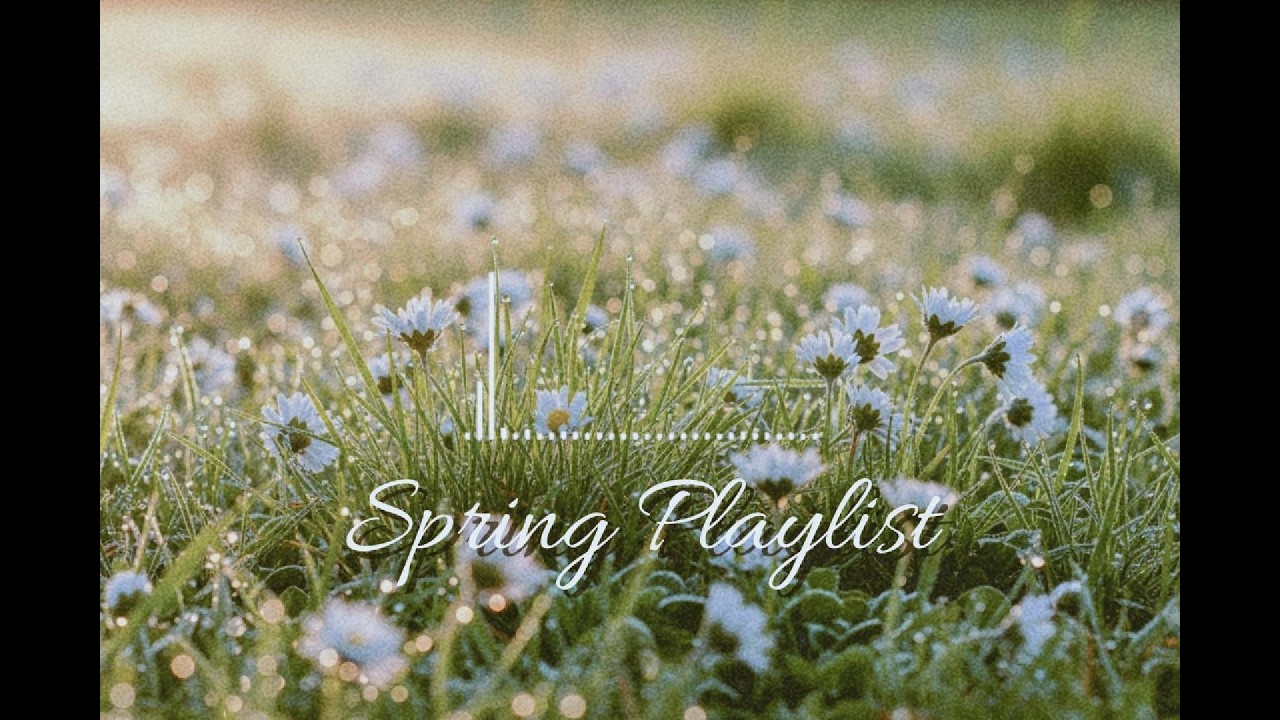 Cherry Blossom Afternoon 🌸 벚꽃 산책 봄노래 | Spring Indie Pop Duet | 카페 감성 플레이리스트