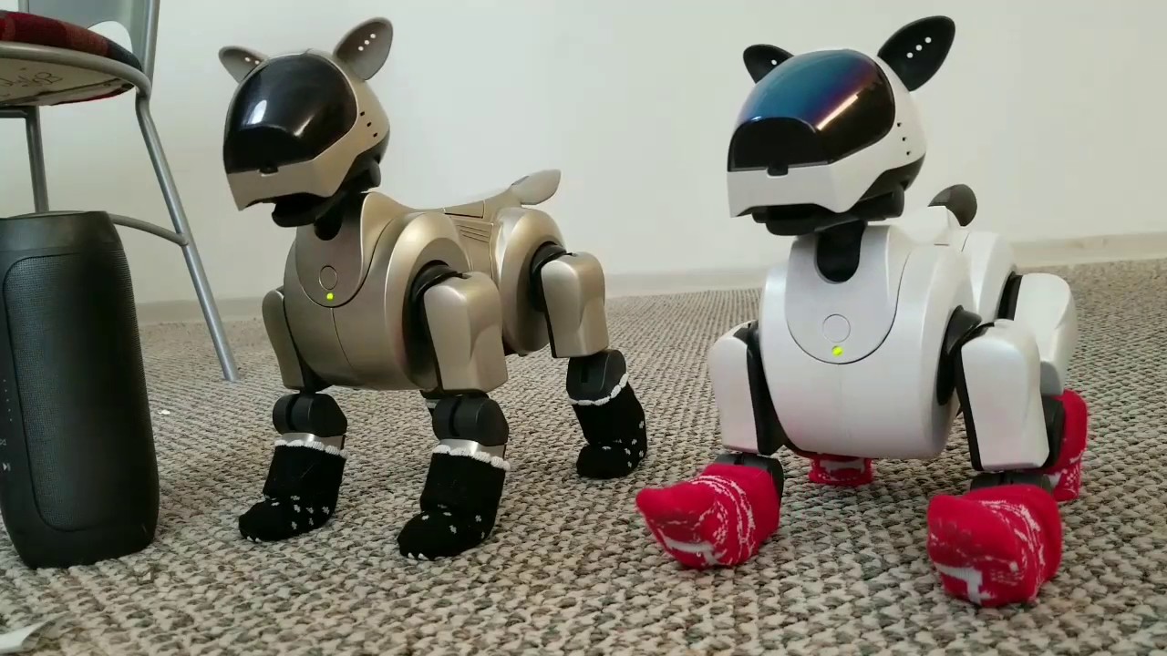 Aibo Dancer vs Disco