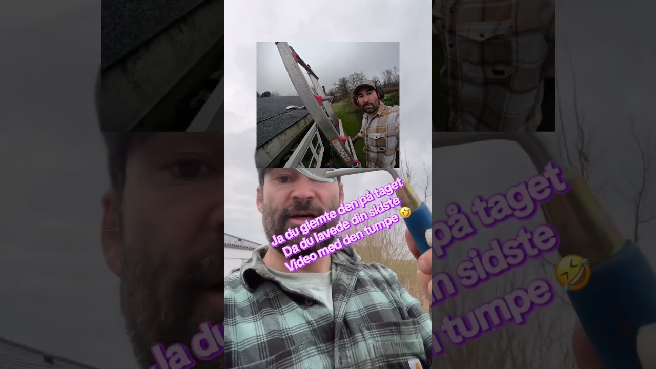 Harald Nyborg renseren er tilbage -