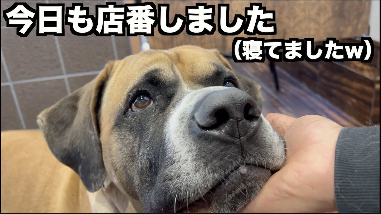 ひだまり生集まってわちゃわちゃ♪