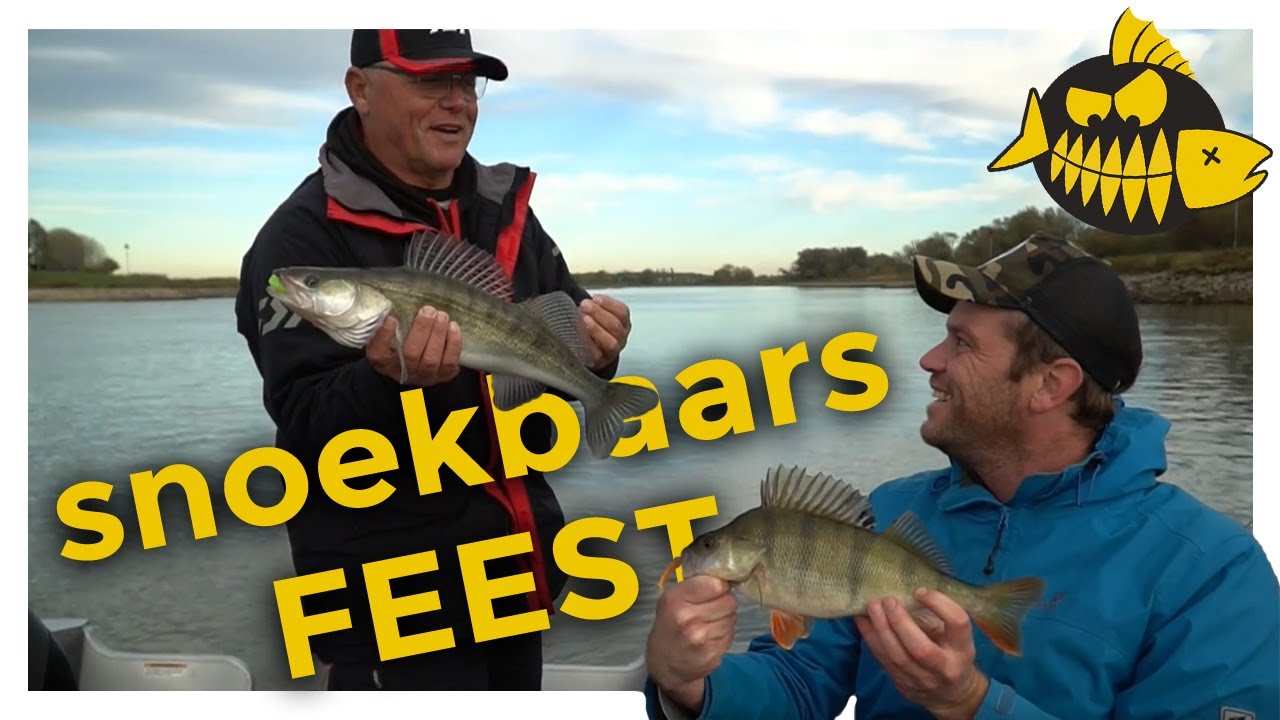 WERPEN op SNOEKBAARS op de IJSSEL met SHADS! Zo Werkt Het!