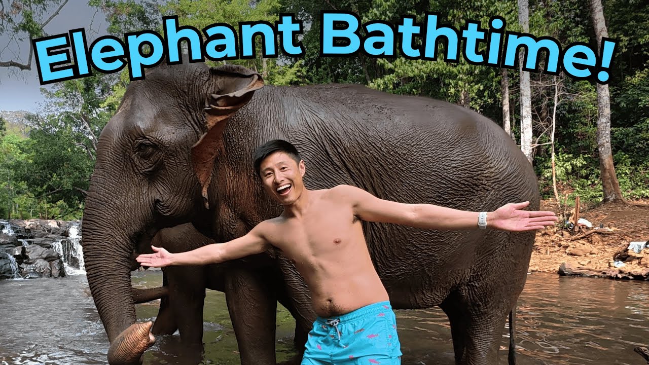 Inside Cambodia's Oldest Elephant Sanctuary | Mondulkiri Project