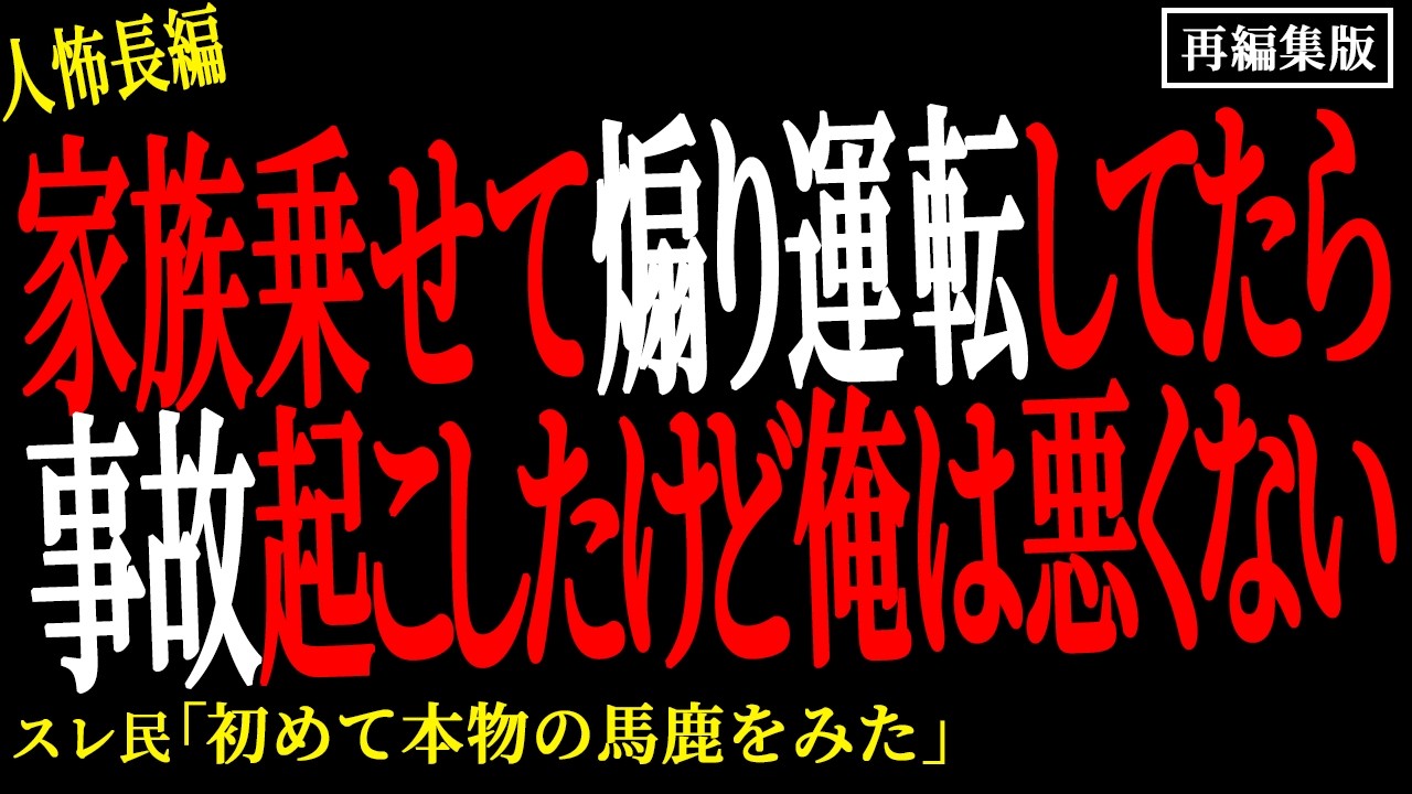 【2chヒトコワ】家族乗せて煽り運転してたら事故起こしたけど俺は悪くない。。【人怖】