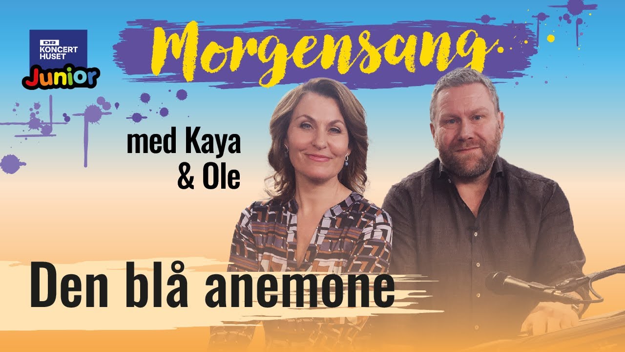 Den blå anemone // Morgensang