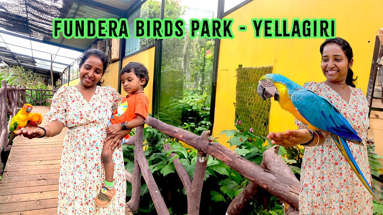 Fundera Park | Birds Park @yelagiri, Tamil Nadu | Places to Visit in Yelagiri