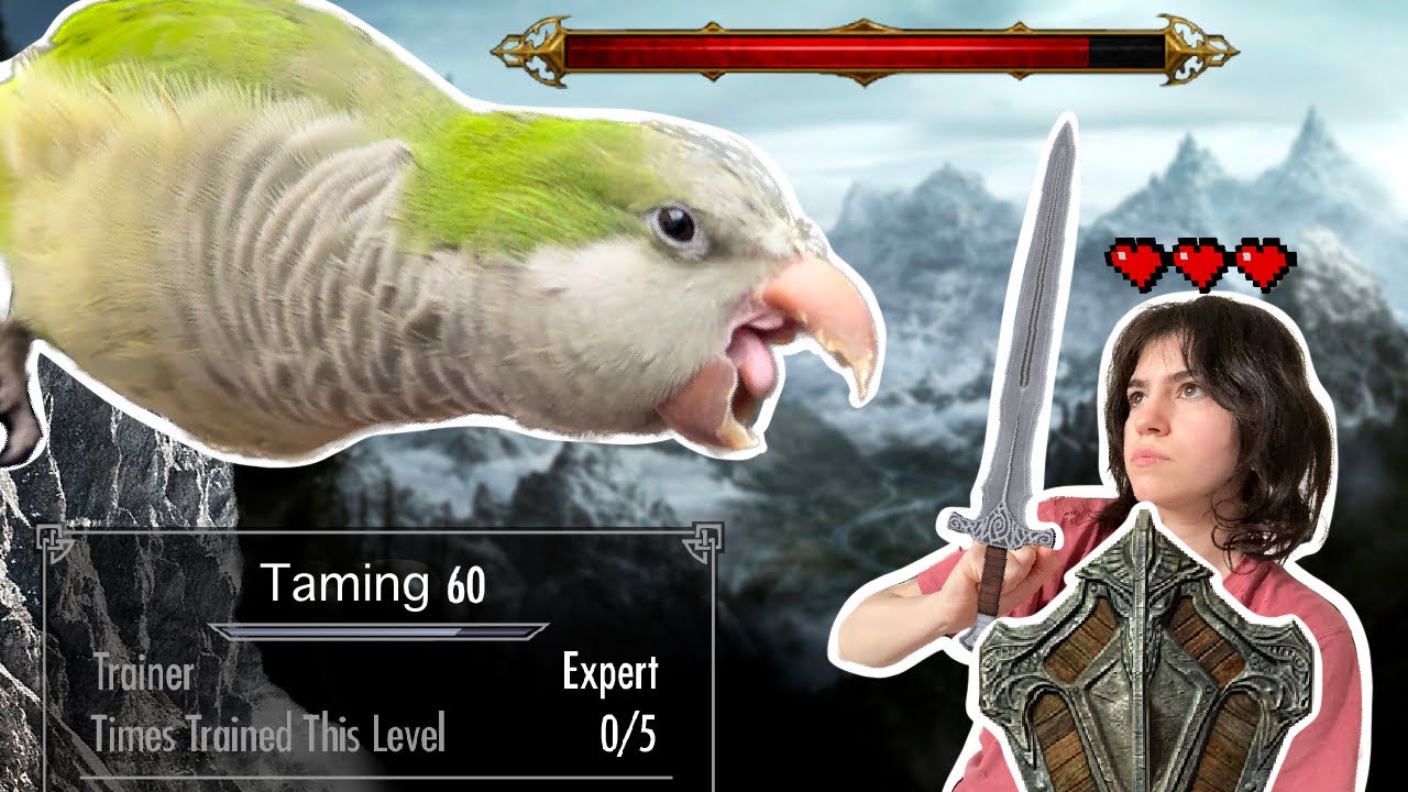 How To Tame And Bond With Your Bird