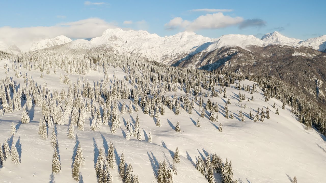 Chronicles Of Narnia | The Winter Landscapes Of NARNIA - Relaxing Narnia Music & Ambience | 4K