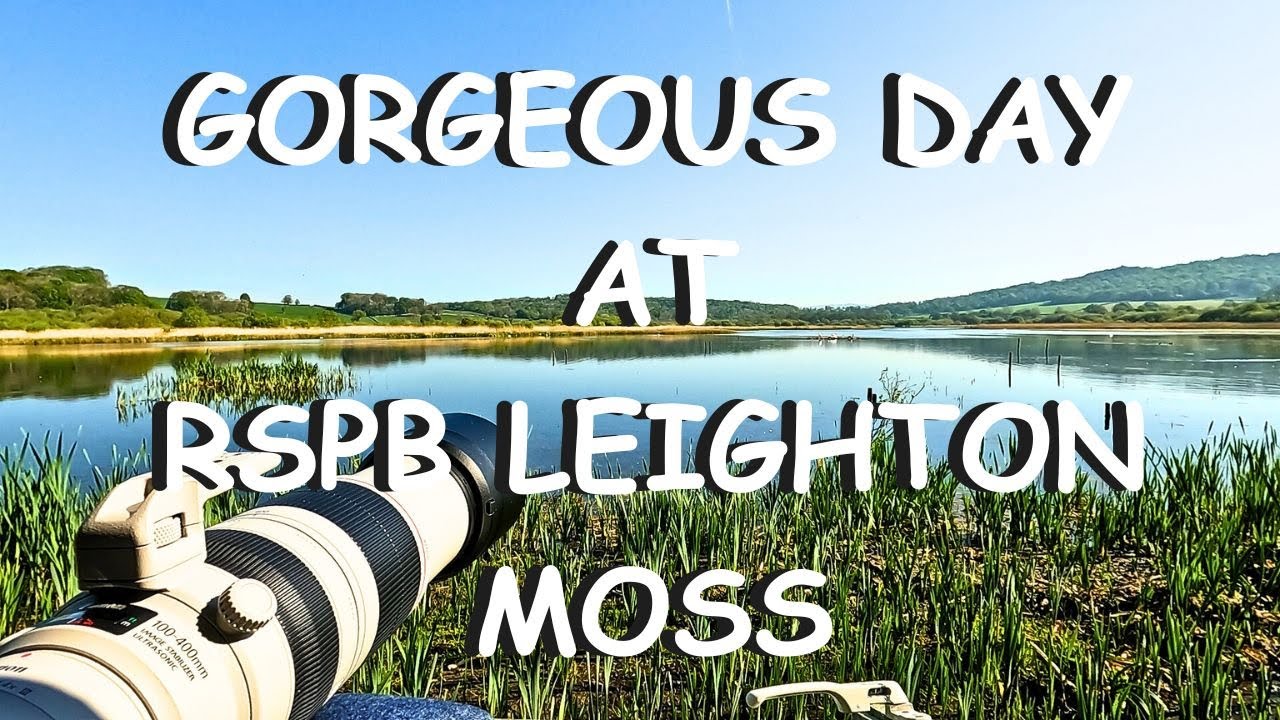 Photography at RSPB Leighton Moss with Photos