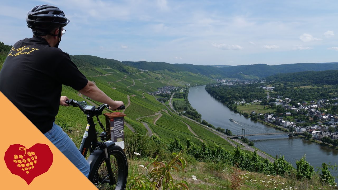 Radfahren an der Mosel durch Weinberge & entlang des Ufers