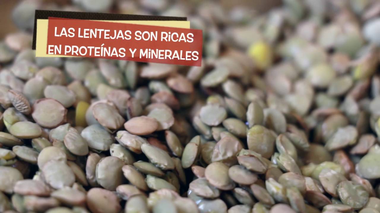 Lentejas en olla de presi&oacute;n - Chef Sophia