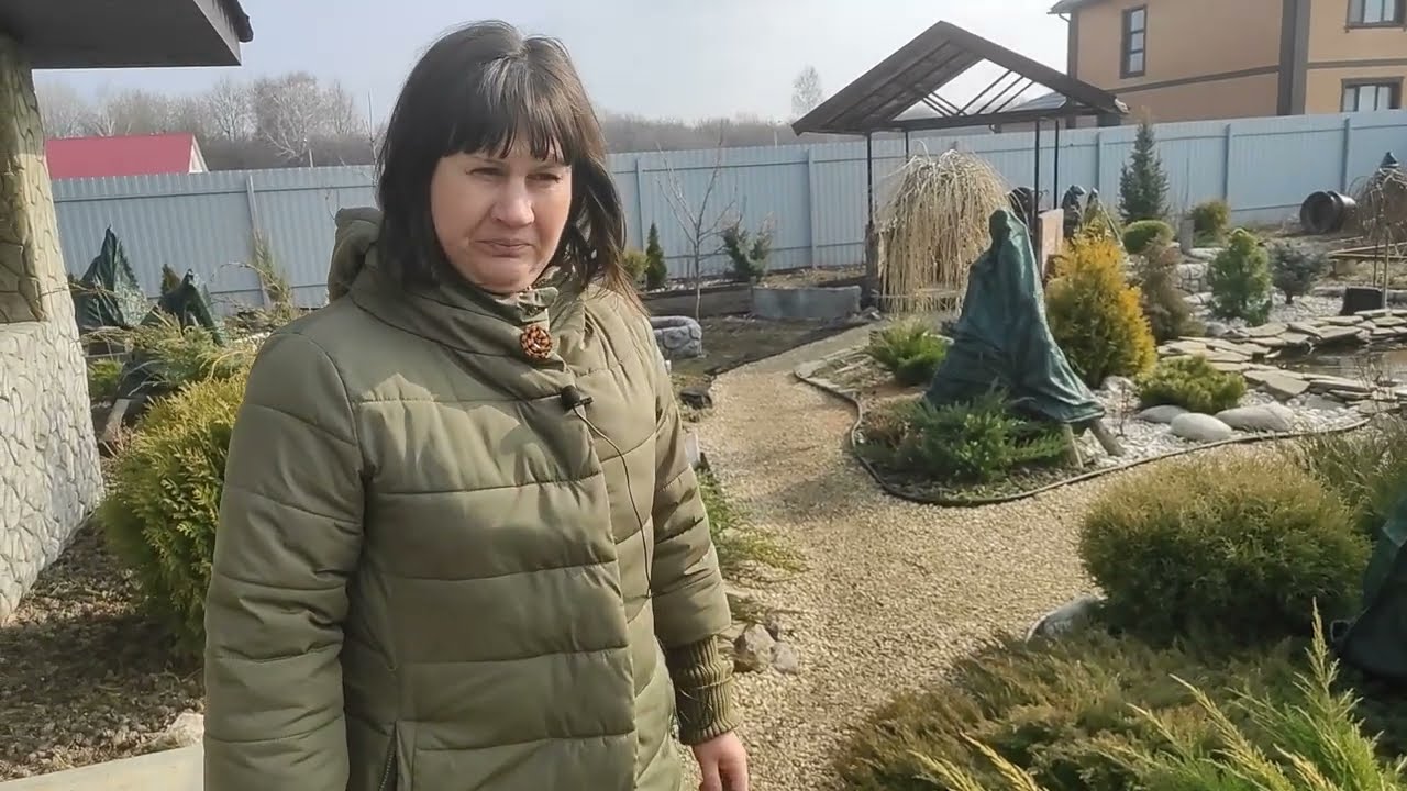 Сняли укрытия с хвойных.Обрезали деревья и гортензии.