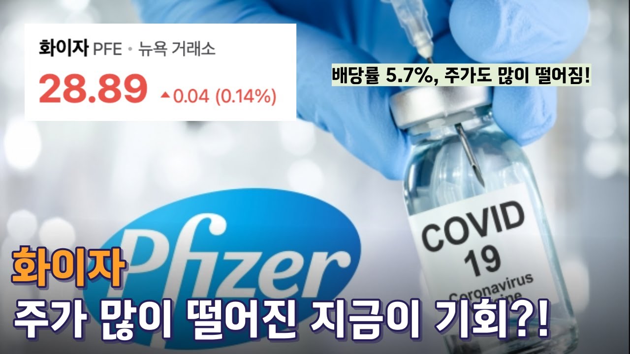 화이자, 주가 많이 떨어진 지금이 절호의 기회인가?!